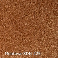 Montova-SDN 225